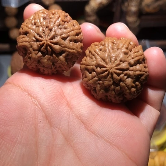 橄榄核把件多瓣金刚菩提