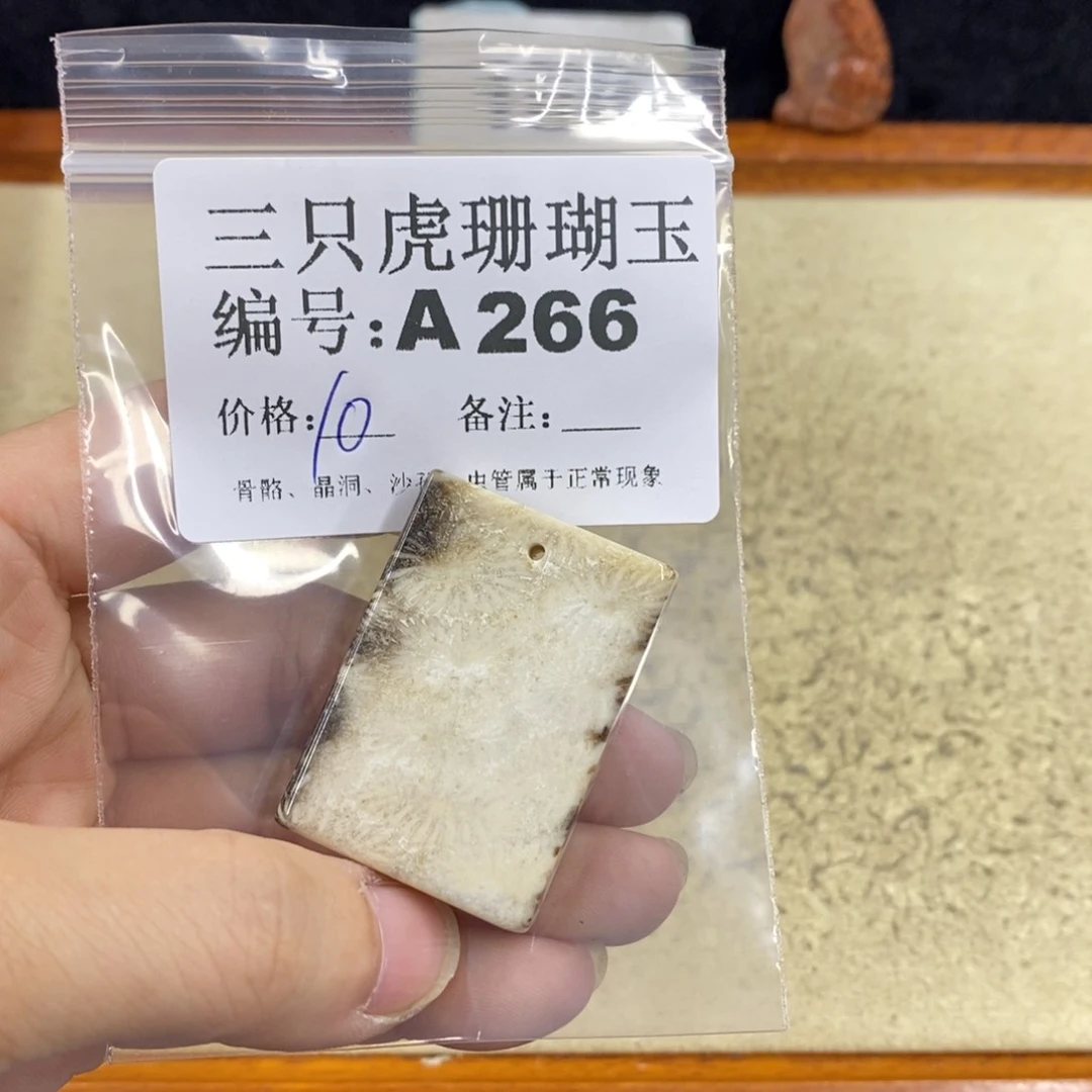 硅化珊瑚（珊瑚玉）1未镶嵌y*e