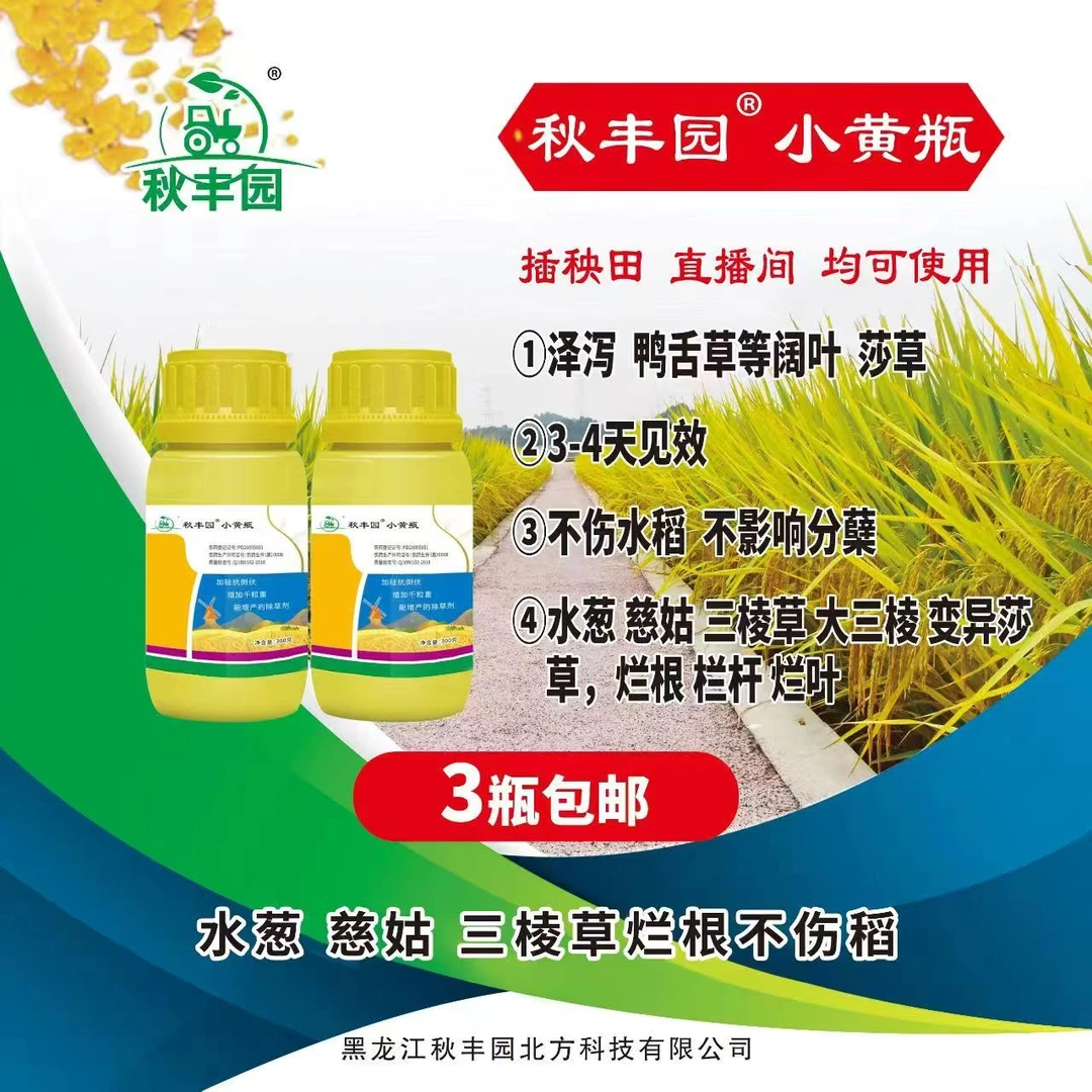 （秋丰园）小黄瓶：阔叶莎草科全拿，安全不伤苗。