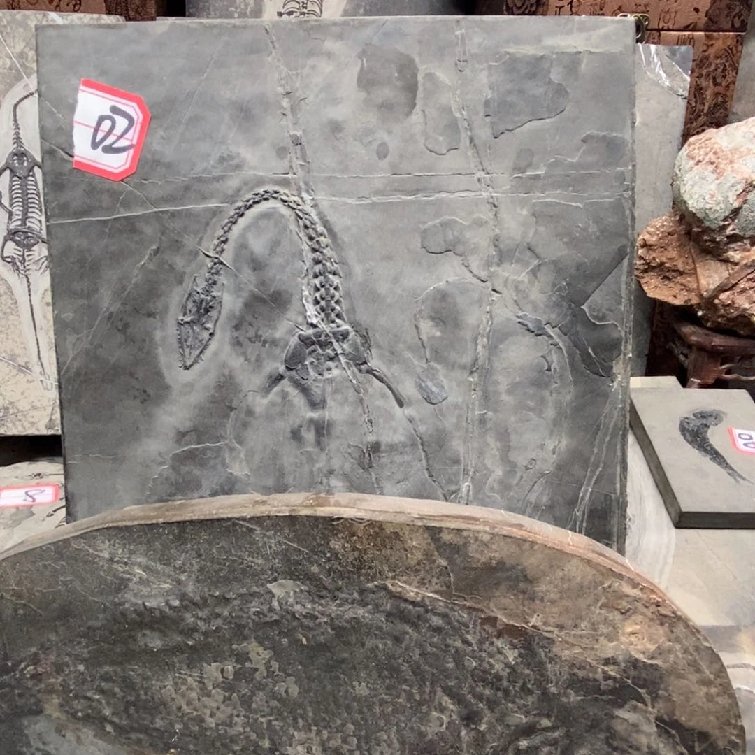 石材画****y大自然的秘密就是这样神奇