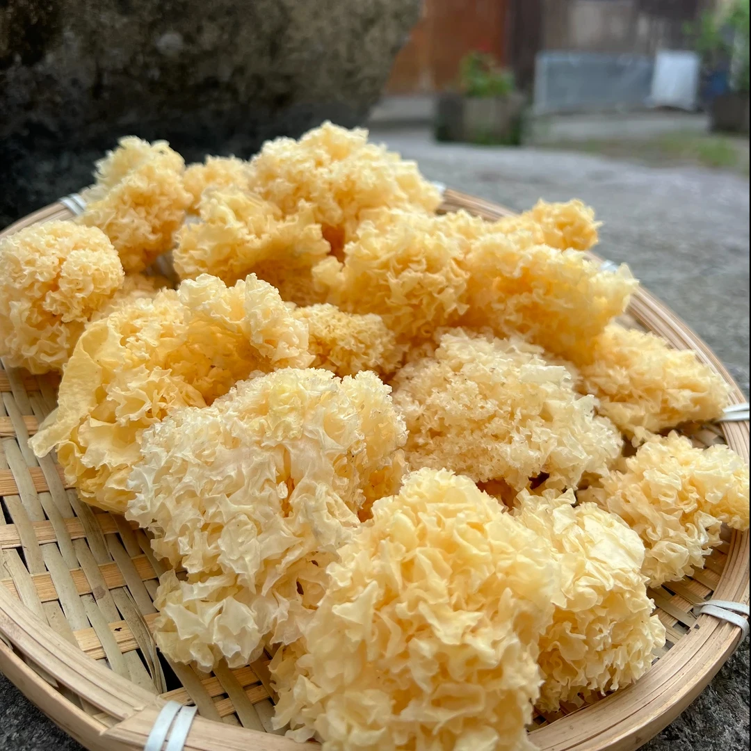 【秦巴本草】村书记助农 秦岭农家椴木小银耳250g