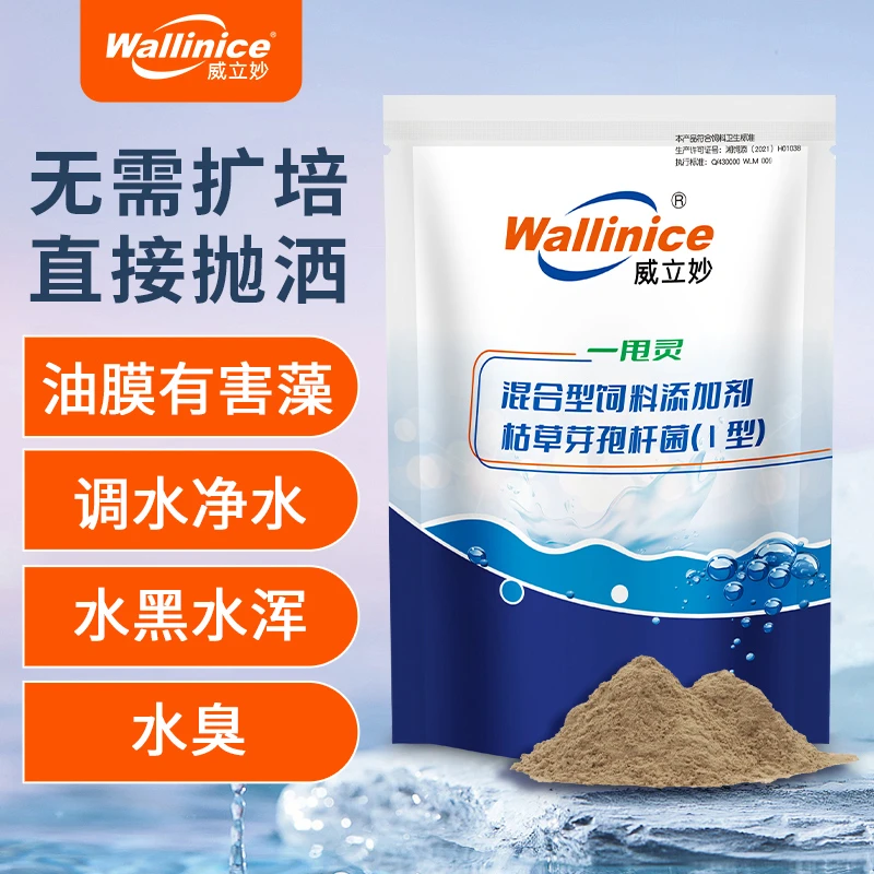 鱼虾蟹塘夏天稳水调绿水水浑油膜气泡有机质有益菌水变清一甩灵
