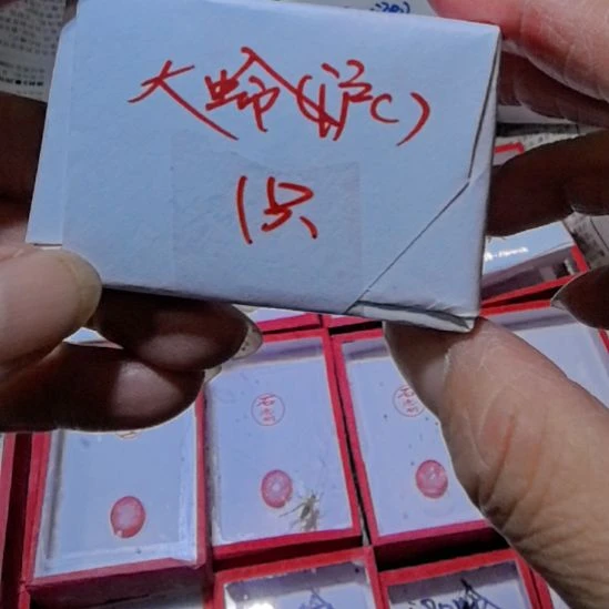 石志明泸C1闷包合适