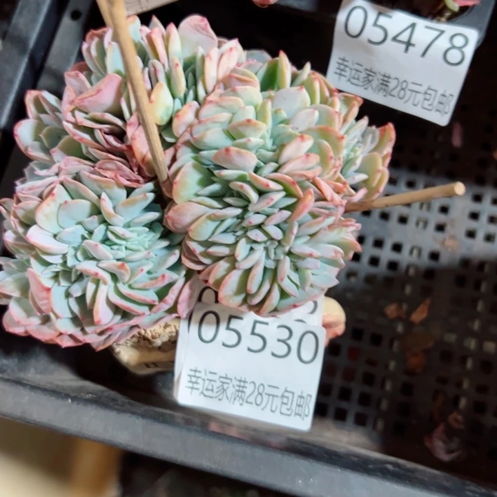 幸运的是我没有遇到过这么