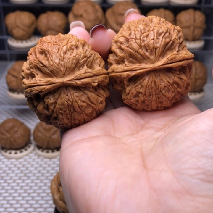 把件文玩核桃46号霸王蟾44尺