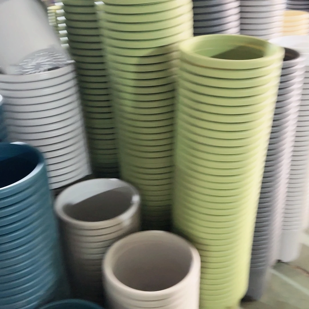 红陶果绿色5号无拖5个