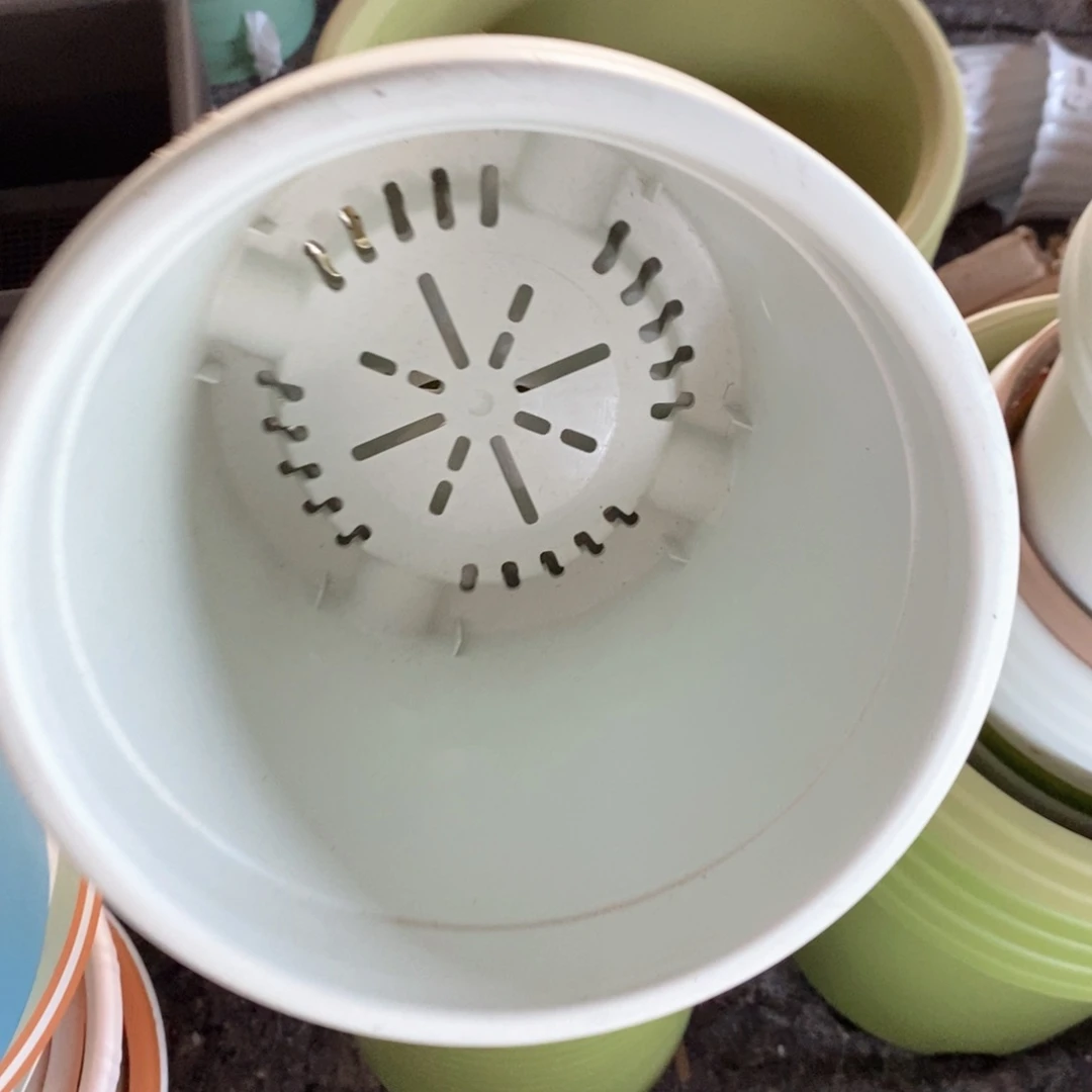 10个21口奶白无托伊特（21×17.8）