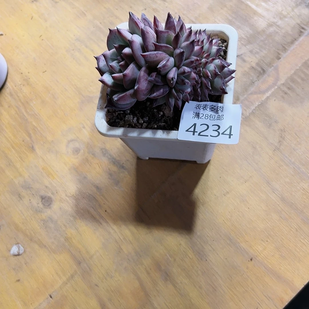 9号R***.我们的确是一4234