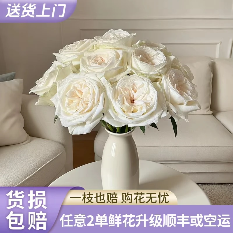 【源头优选】白荔枝单头玫瑰-云南直发鲜花家居水养插花鲜切花