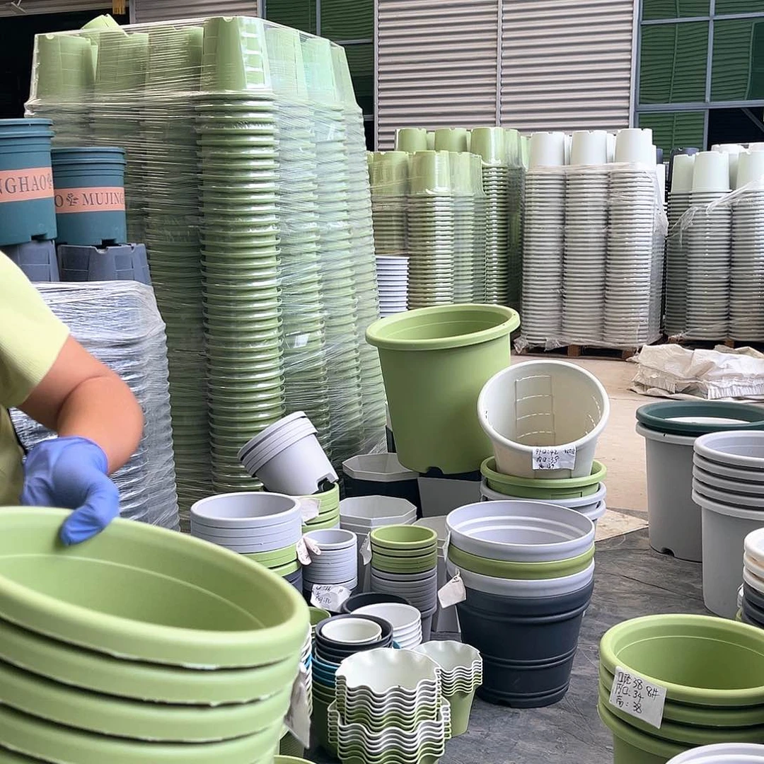 四季盆4#果绿8个含托