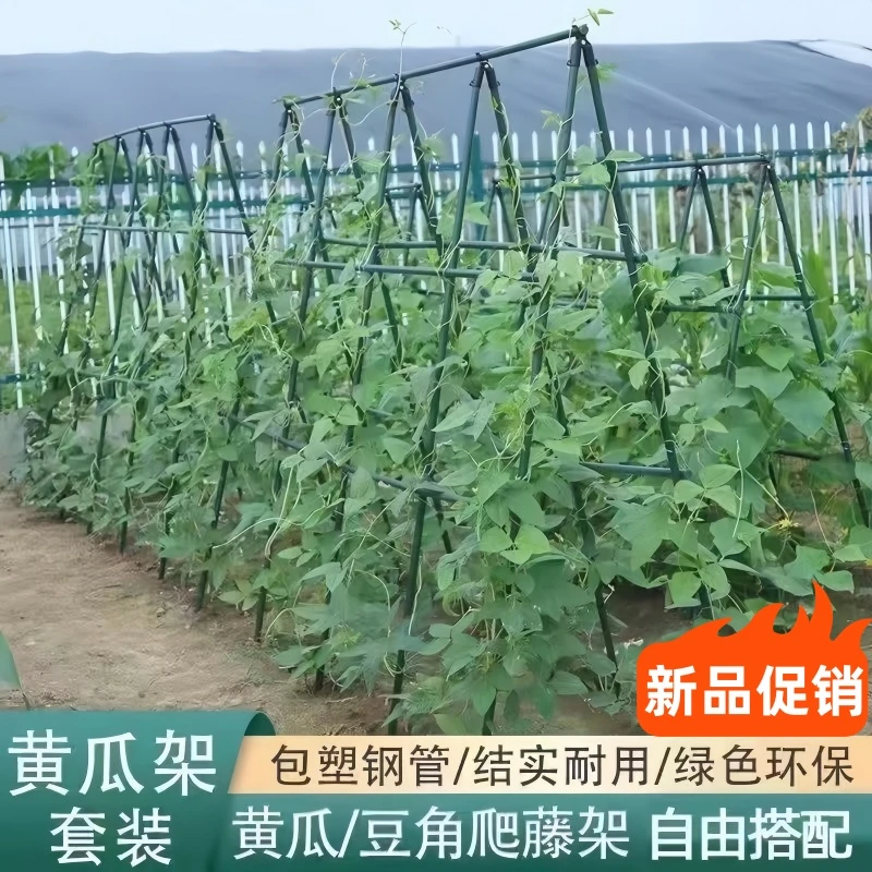 中式花架丝瓜爬藤架包塑钢管月季爬藤架黄瓜攀爬植物花卉藤蔓爬藤