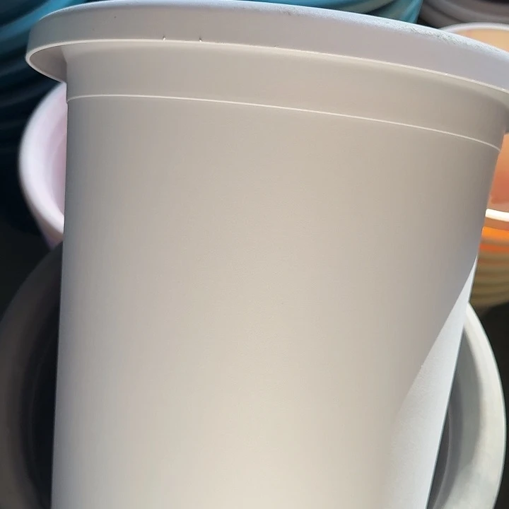 四季7号新灰白无托6个特价微瑕