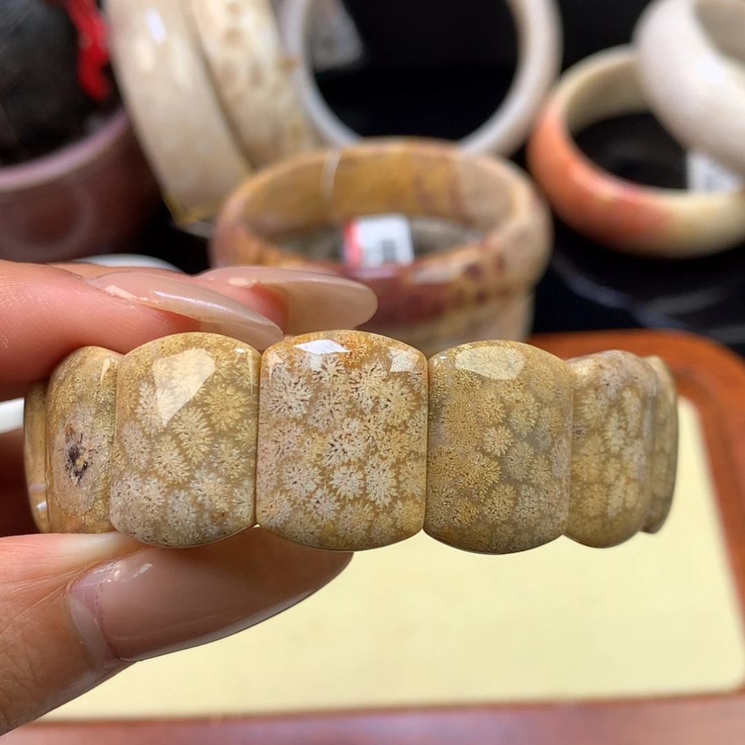 【闪购商品】颈饰未镶嵌硅化珊瑚（珊瑚玉）22号 枫叶