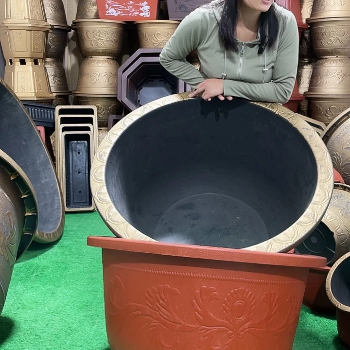 圆盆红色八零两个