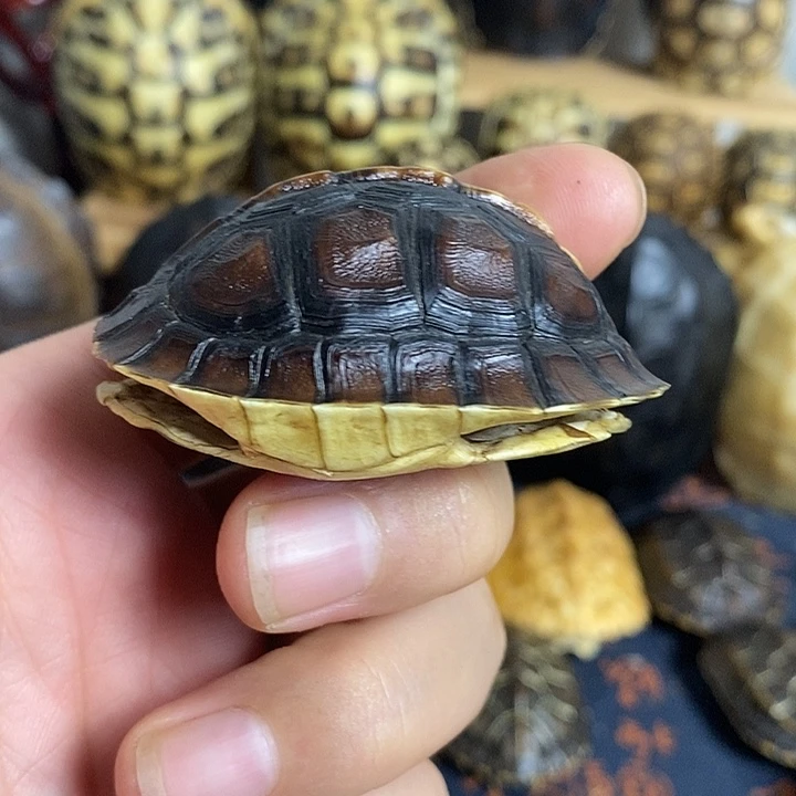 小**?文玩龟甲富甲天下富甲一方