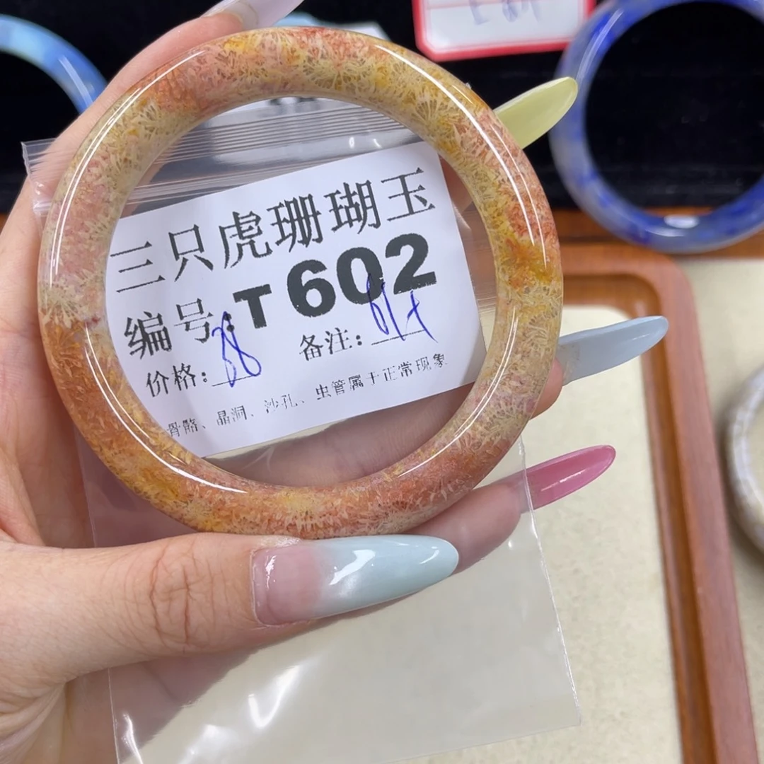 *****硅化珊瑚（珊瑚玉）h未镶嵌