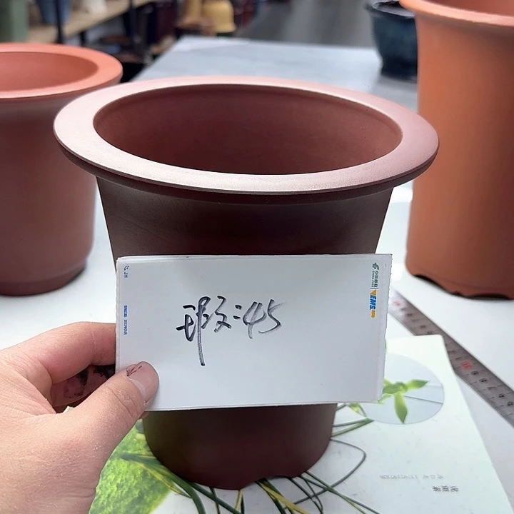 紫砂2222222222222222