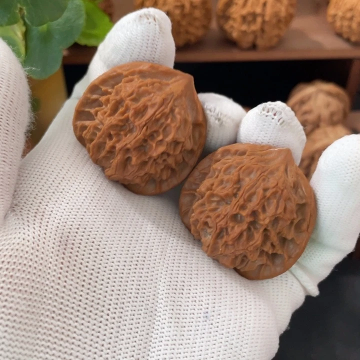 秦岭核桃的品种繁多麒麟