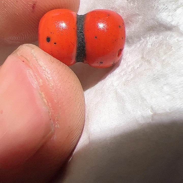 香榧木在家了一个