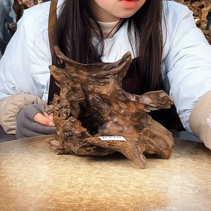 茶盏爵*119株木随行的小根艺