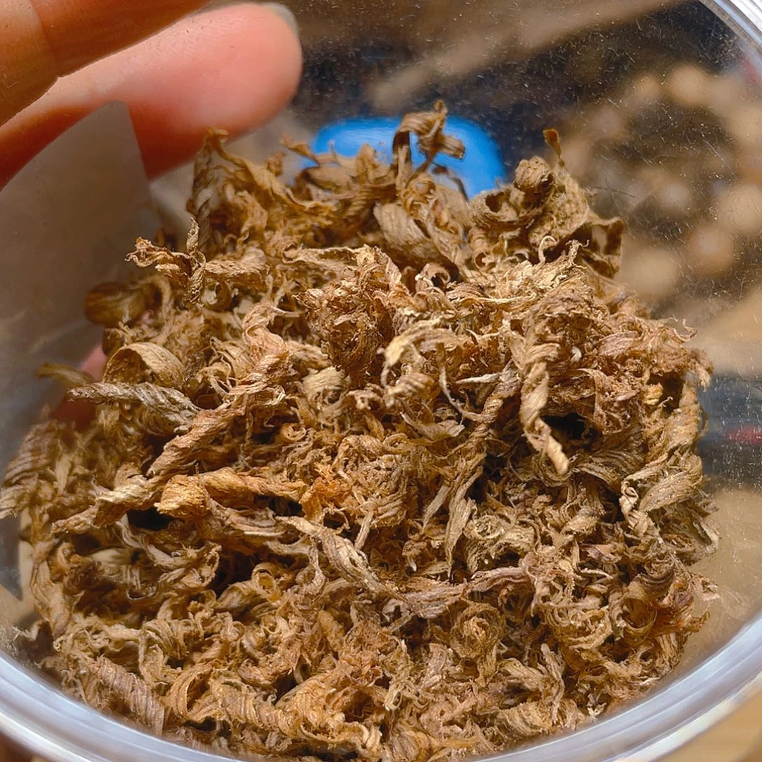 沉香越南都蓬勾丝1克