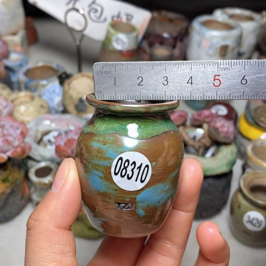 花盆拍5送一个小礼物