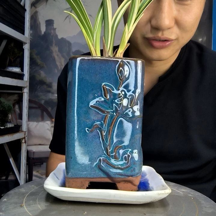 花*中青园艺一物一拍169