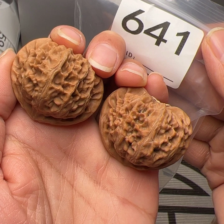 核桃全品宫灯39尺641