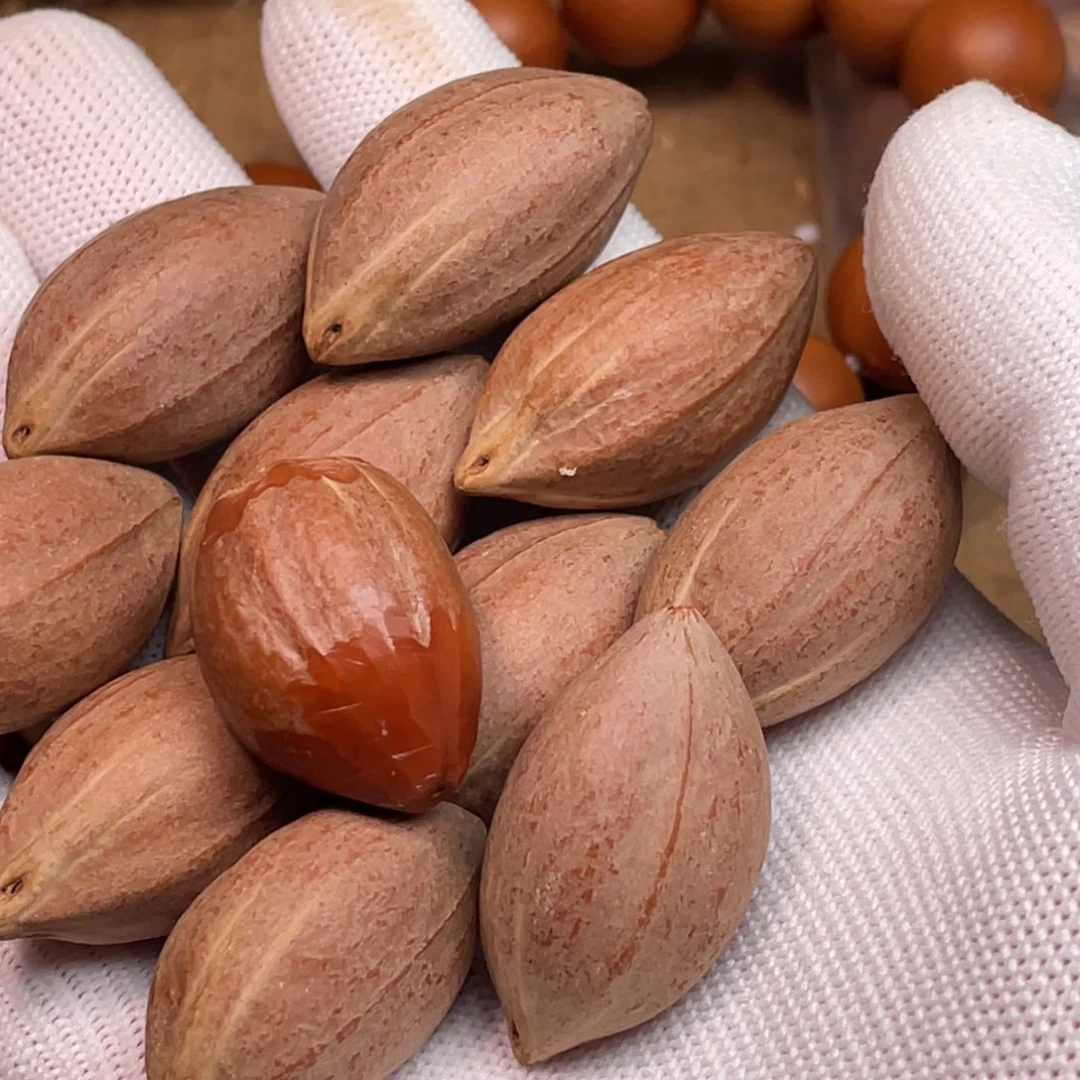 明***风橄榄核手串/手链1