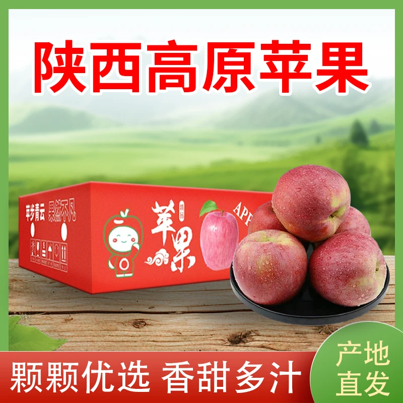 【脆粉两吃】陕西高原苹果纯甜无酸年货送礼4.5-5斤彩箱