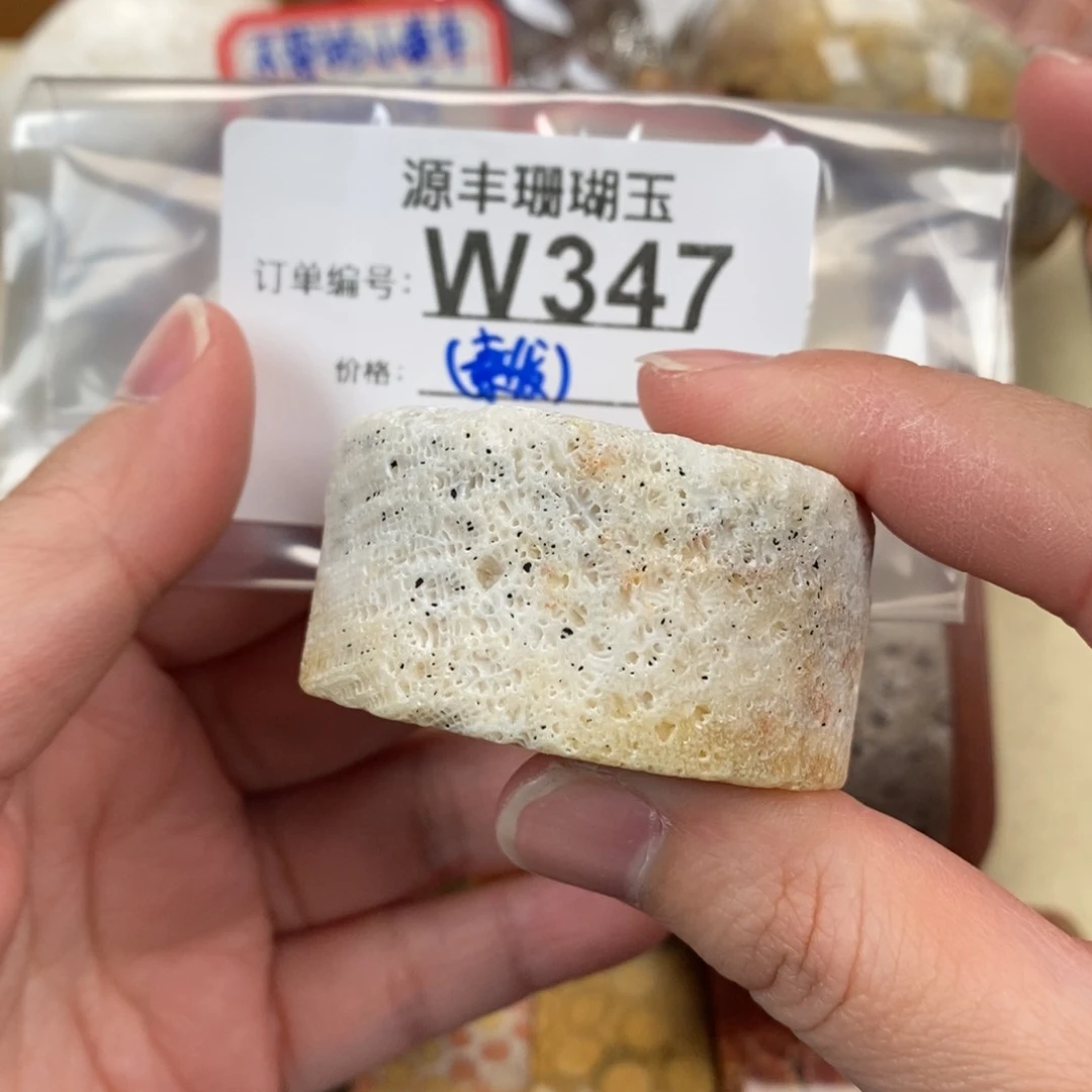 硅化玉颈饰未镶嵌瑾