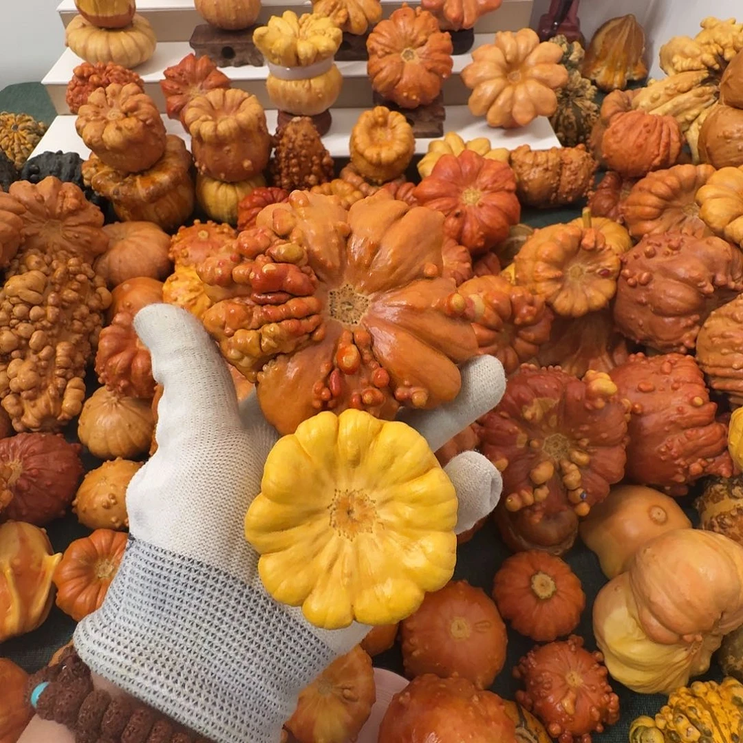 0****墨西哥葫芦精品手把件