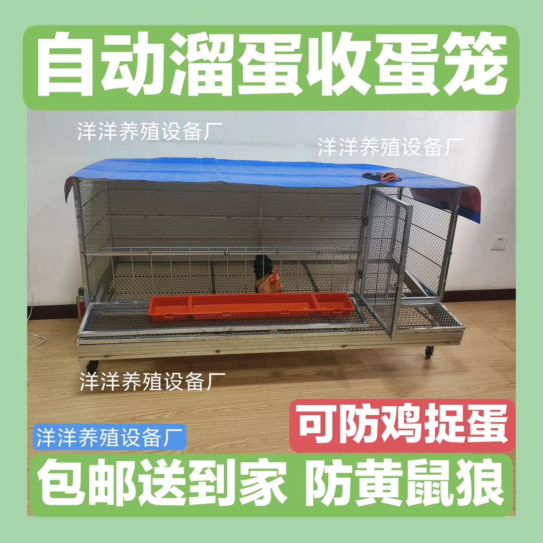 户外自动收蛋鸡笼探出笼吃食喝水可防老鼠可防黄鼠狼鸡笼鸭笼家用