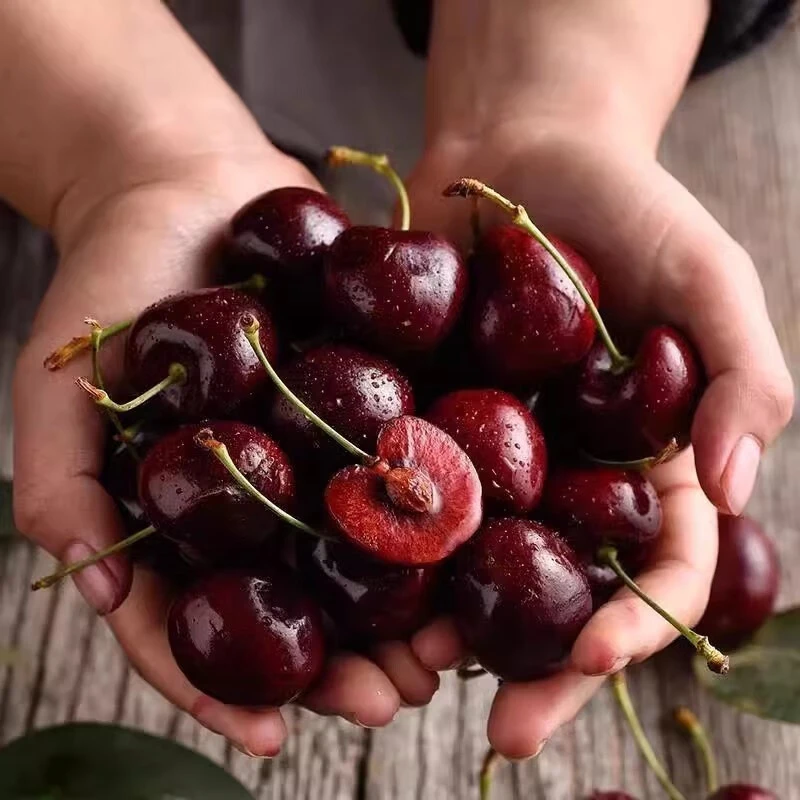 【智利进口车厘子】原箱樱桃空运1~4J5斤± 内附果径卡