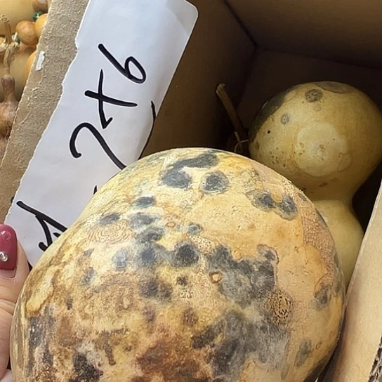 _***@葫芦葫芦hu lu hu lu