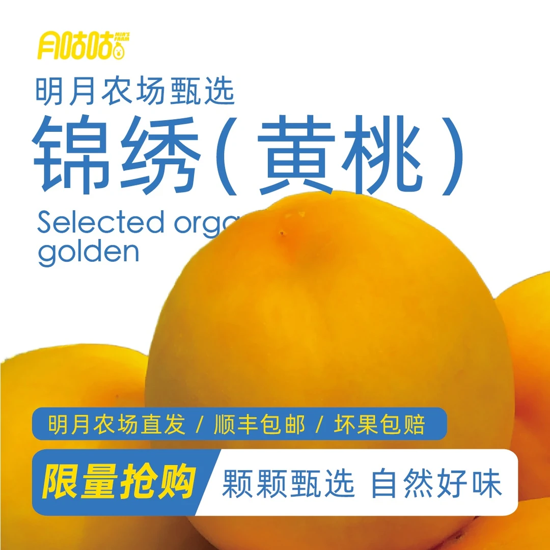 明月农场直发 | 四川沙湾锦绣黄桃脆甜多汁新鲜现摘顺丰包邮