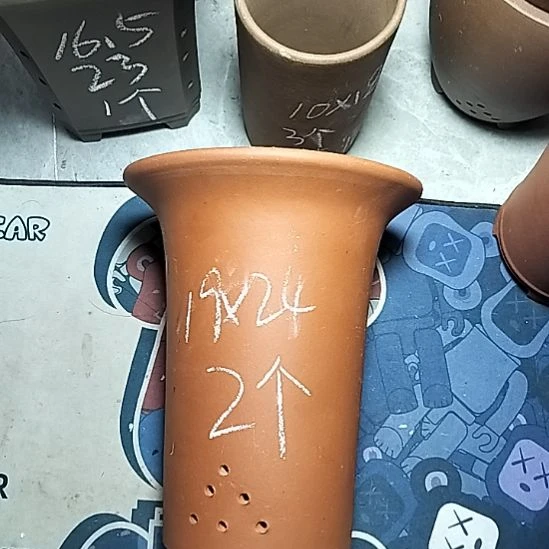 大红兰花两个花盆