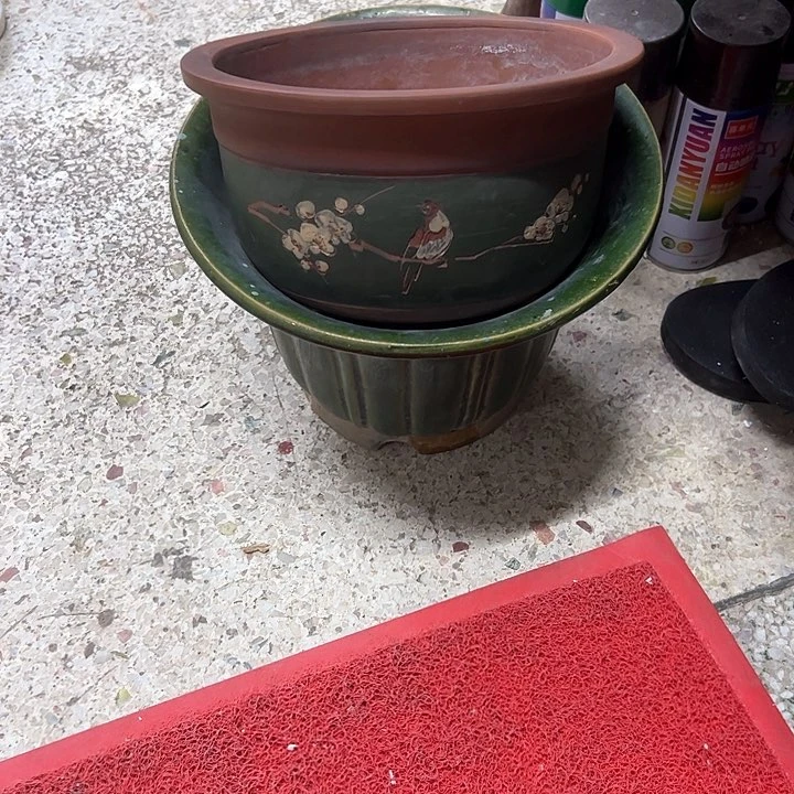 红陶孟****鹏。。。。。。。。。。。。