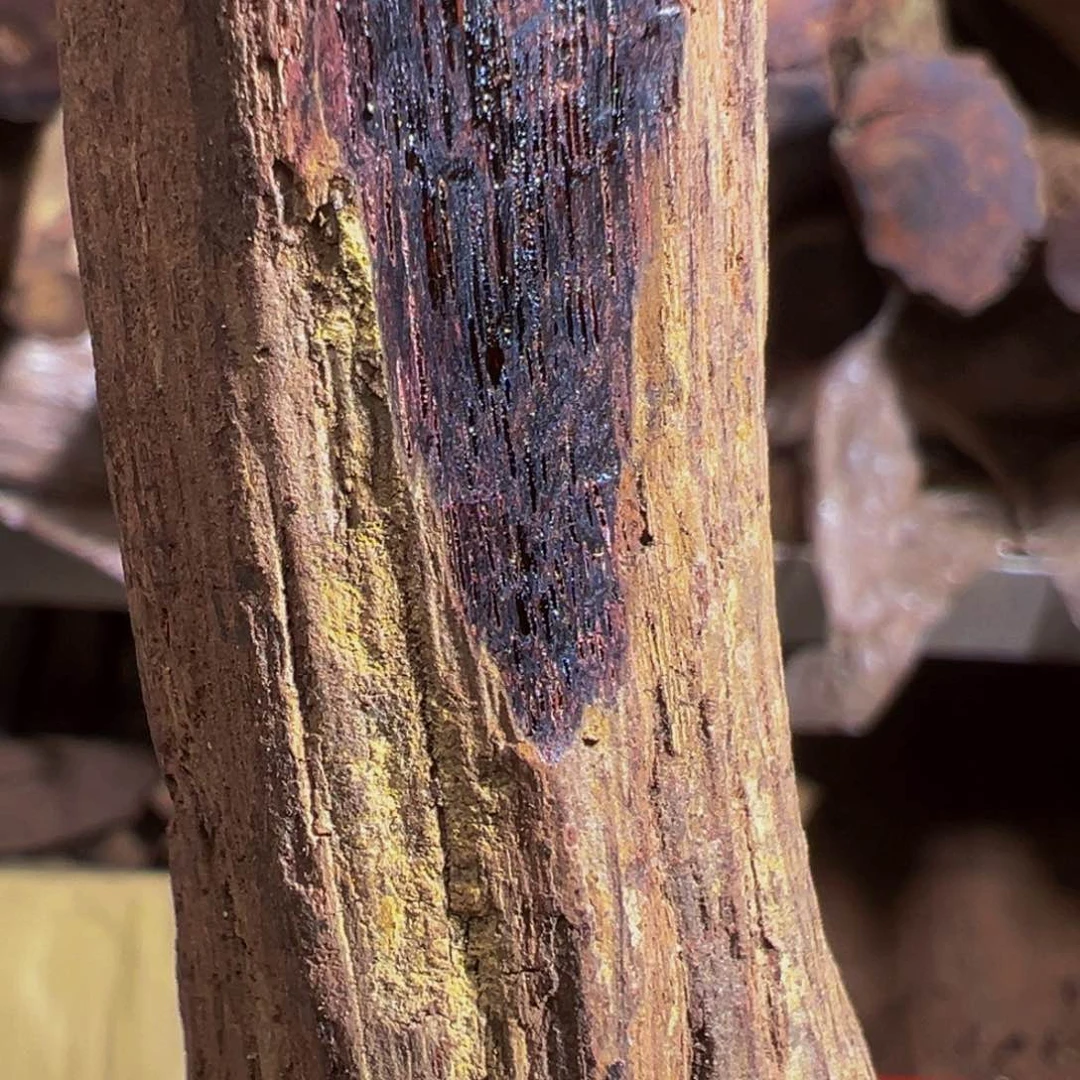 降真香其他张*能定制款不退不换