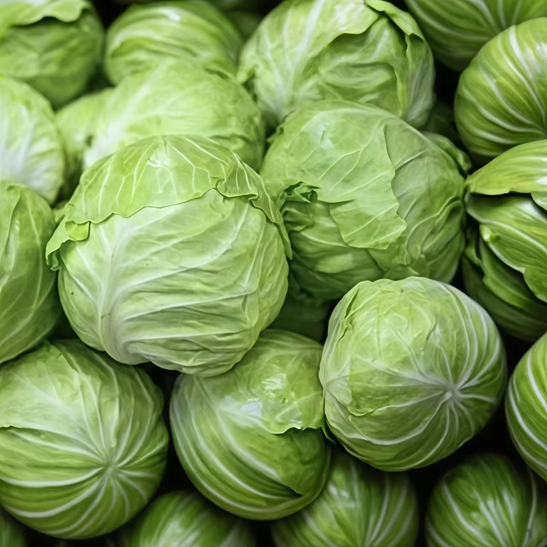 农户自种包心菜卷心菜新鲜