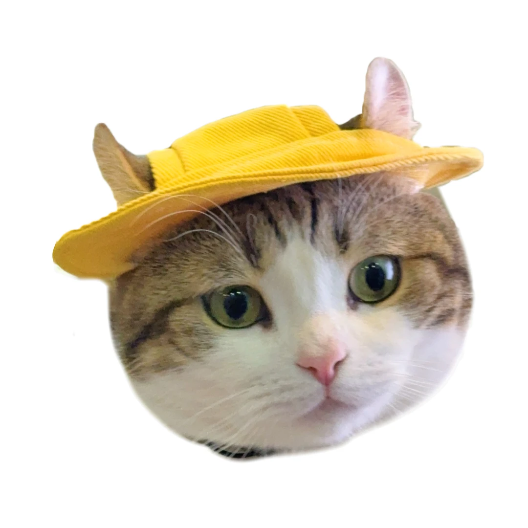 插排拴子同款定制抱枕