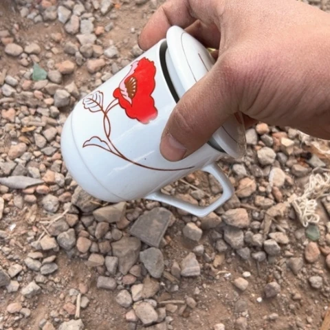 核桃木/黑胡桃（胡桃木）j*哥