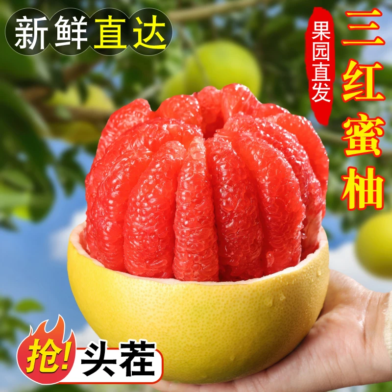 福建平和红心蜜柚老树果4.5-5斤/8.5-9斤应季水果甜多汁