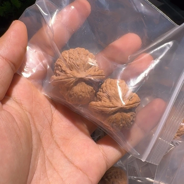 姜***-文玩核桃吊坠白狮子