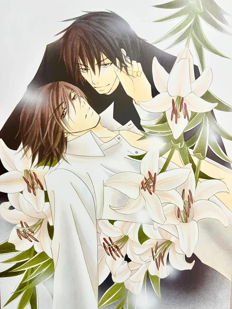 【明选】纯情罗曼史 原画切页 二次元 中村春菊