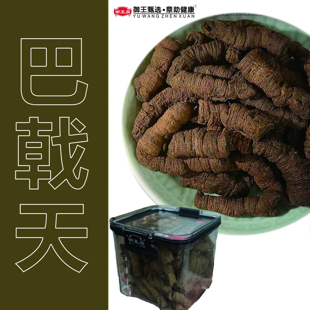 巴戟天特优级人工挑选滋补原料道地药材滋补养生泡水泡茶泡酒煲汤