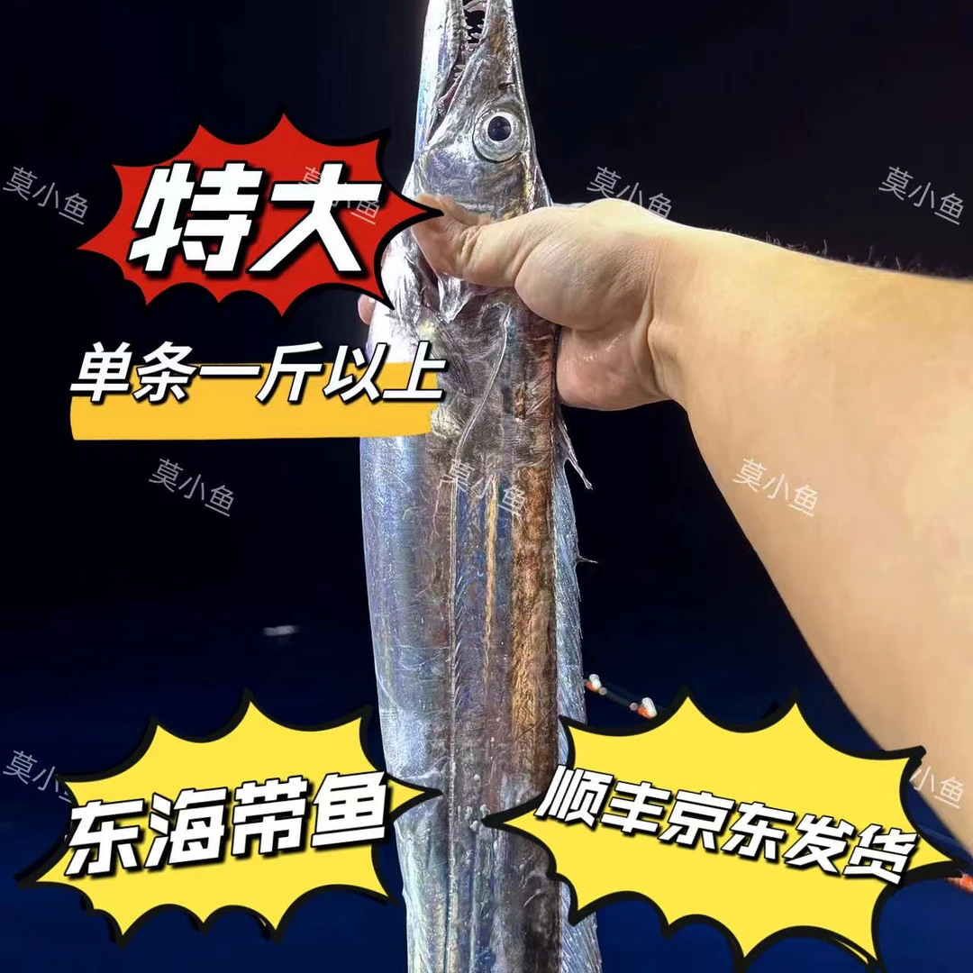 【小鱼生鲜】带鱼王宁波舟山海钓带鱼东海新鲜小眼睛海钓带鱼
