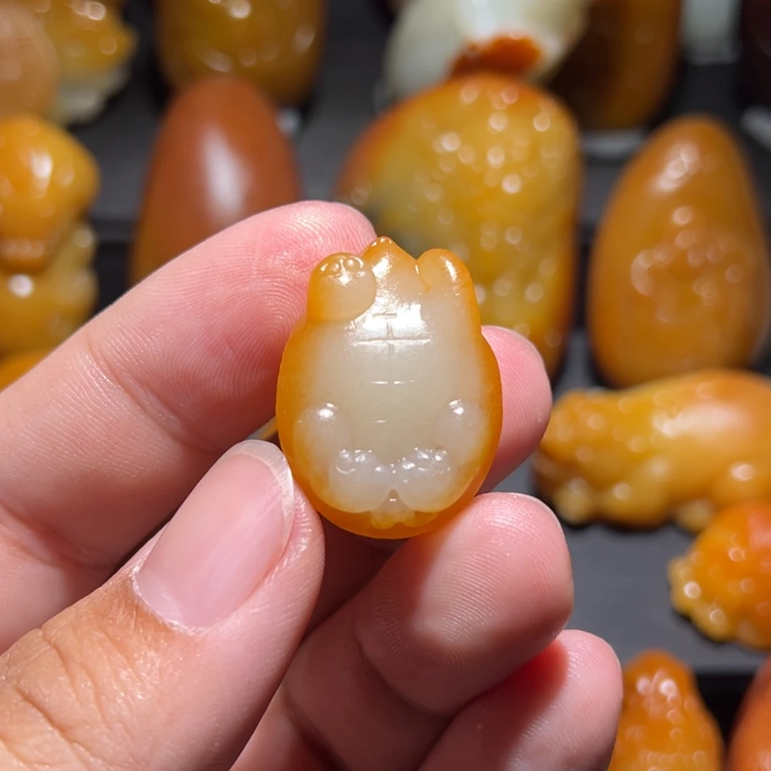 皖***聊和田玉未镶嵌颈饰