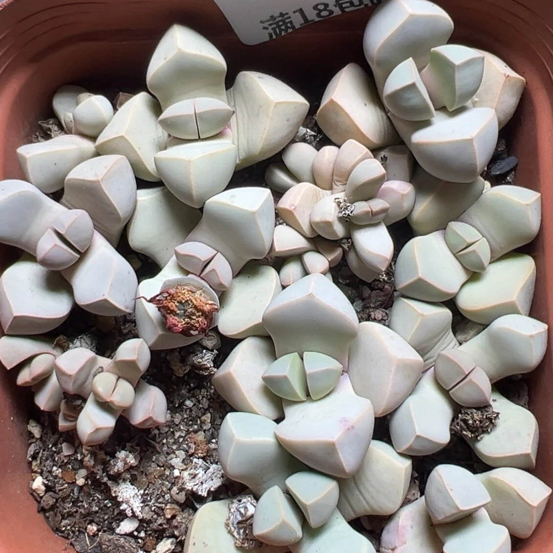 【闪购商品】769……