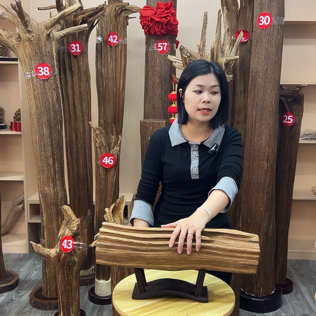 沉香碎屑沉香沉香